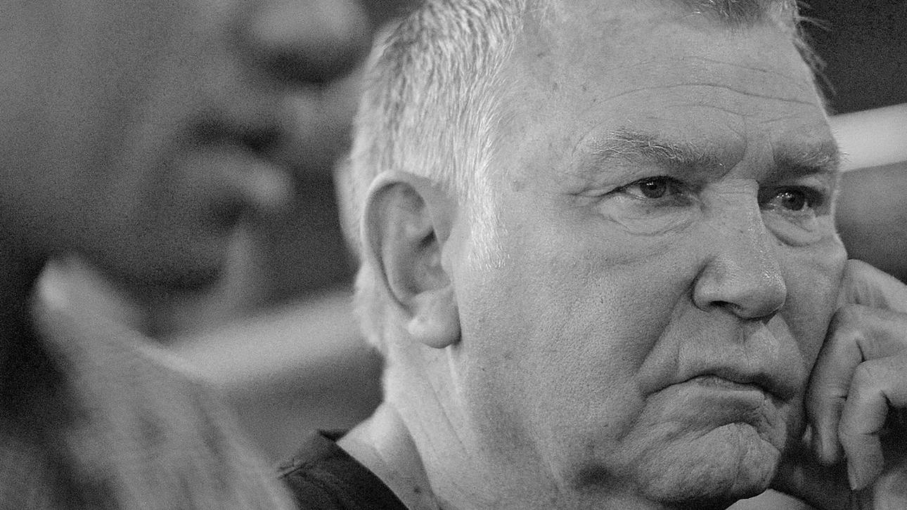 Ein großes Boxerherz schlägt nicht mehr