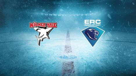 Die Highlights der Partie Kölner Haie - ERC Ingolstadt aus der PENNY DEL im Video.