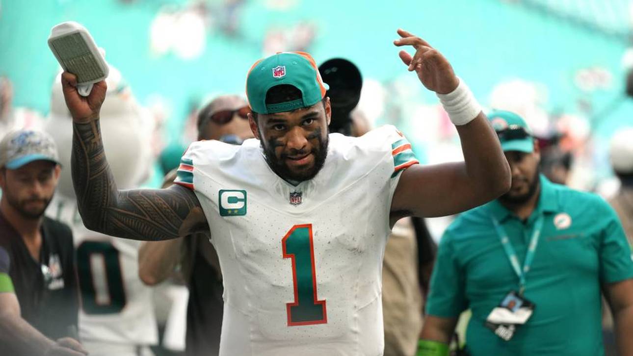 Dolphins warnen Stars vor Frankfurt