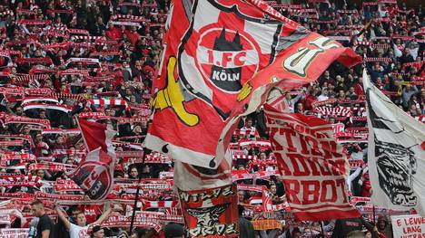 Die Fans des 1. FC Köln rechnen mit dem Abstieg und der direkten Rückkehr