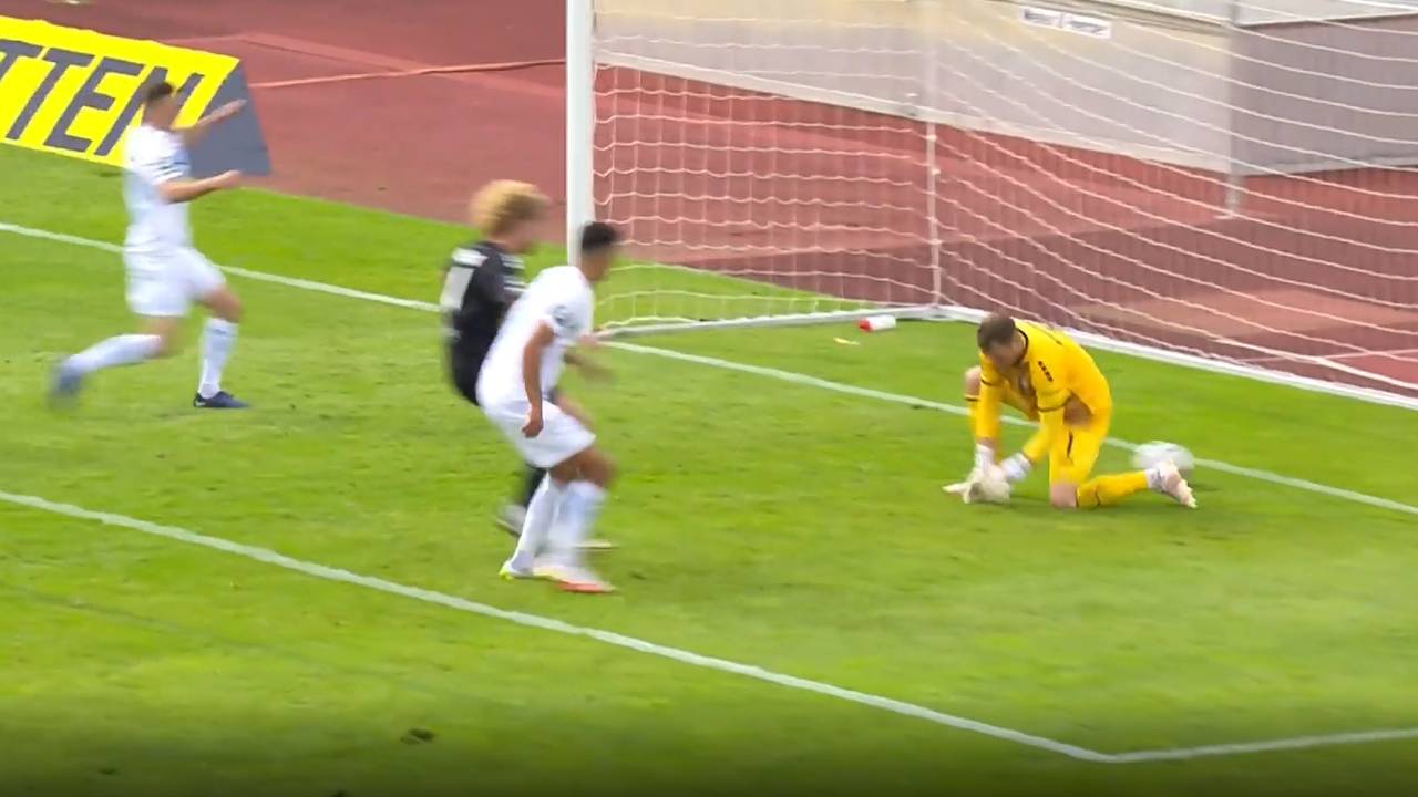 FC Viktoria 1889 Berlin - SV Waldhof Mannheim: Tore und Highlights | 3. Liga
