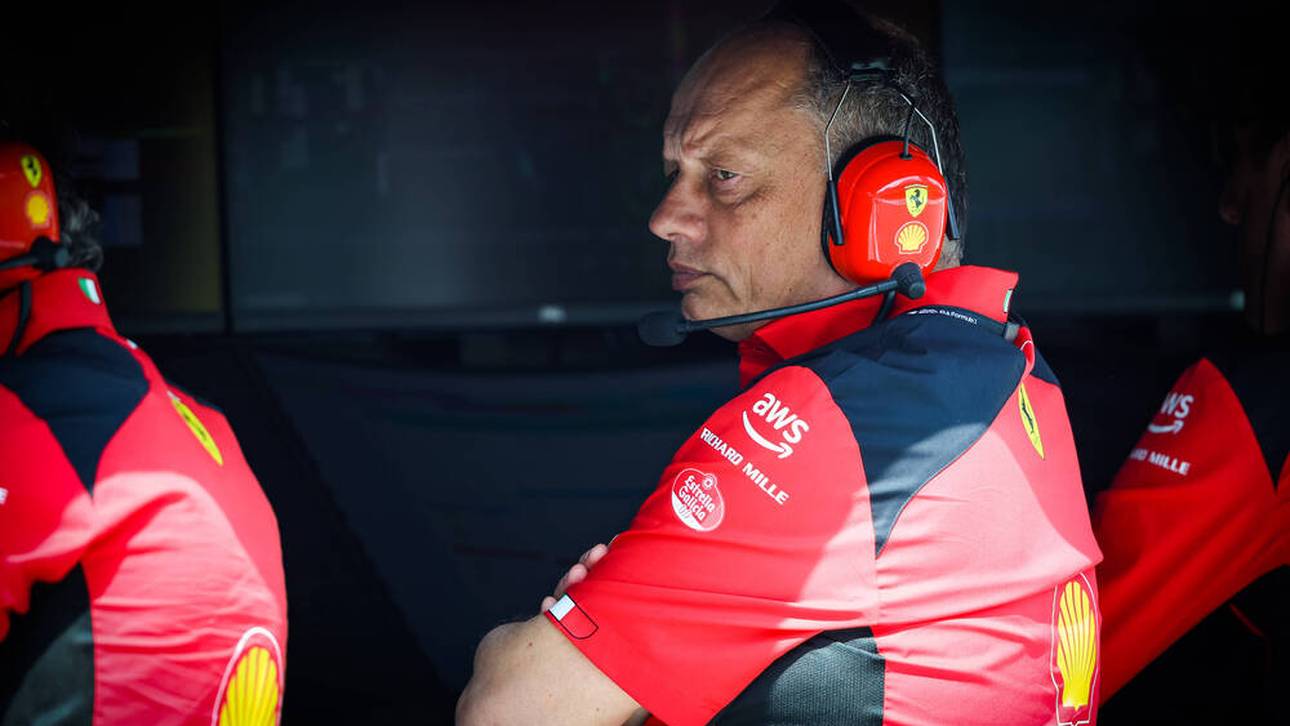 Ein Kauz statt Harry Potter