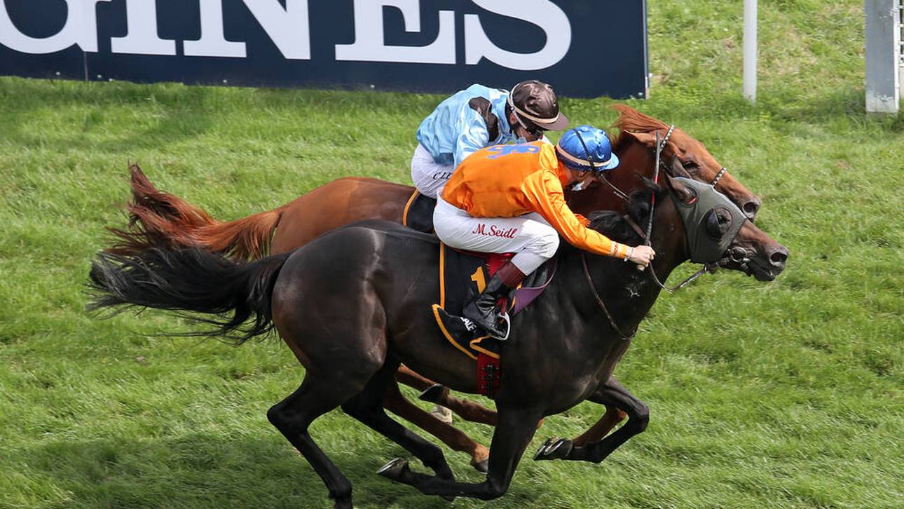 Doppeltes Galopp-Highlight live im TV