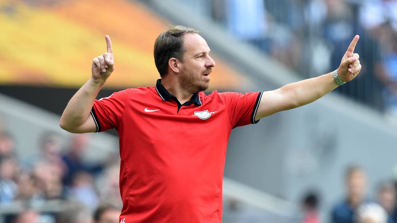 Zorniger wird wohl neuer VfB-Coach