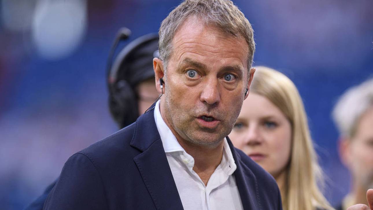 Hamann zieht brisanten Flick-Vergleich