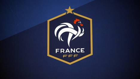 Logo der FFF