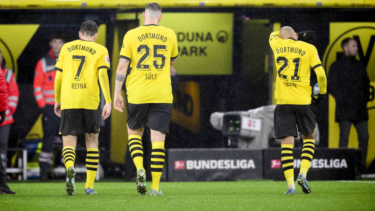 Hamann nagelt BVB-Stars an die Wand