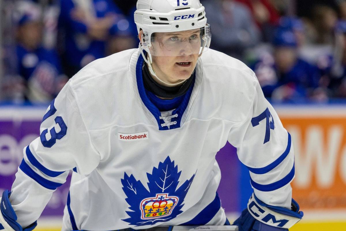 Mannheim holt Stürmer aus der AHL