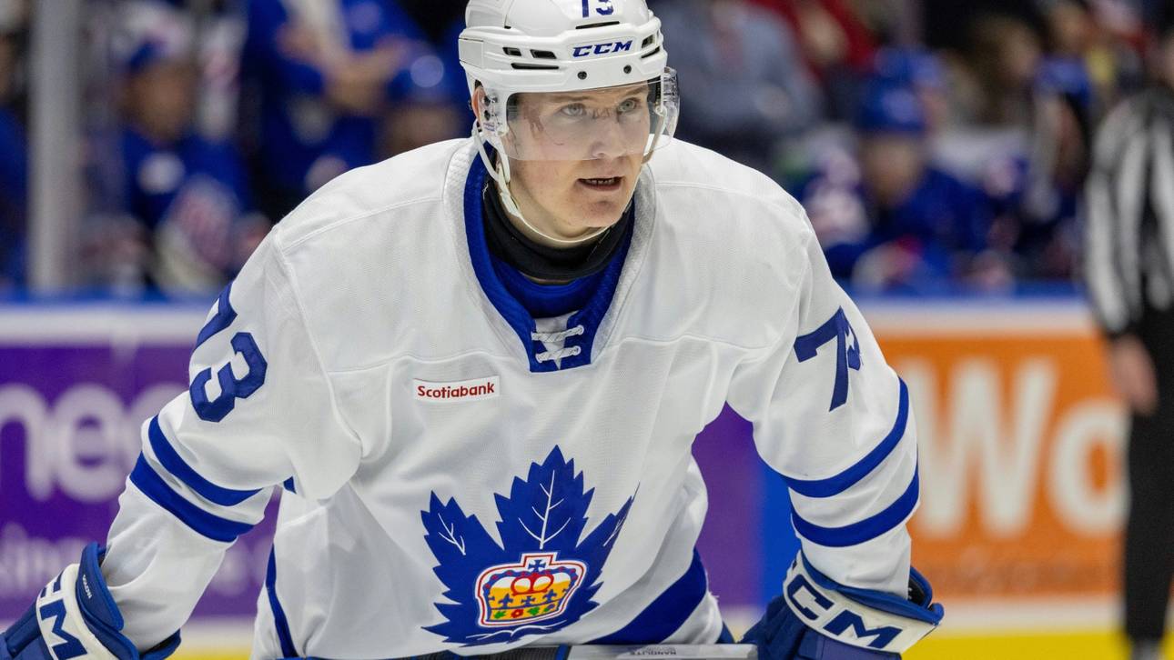 Mannheim holt Stürmer aus der AHL