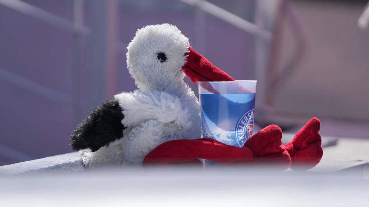 Das Maskottchen von Holstein Kiel mit einem Becher