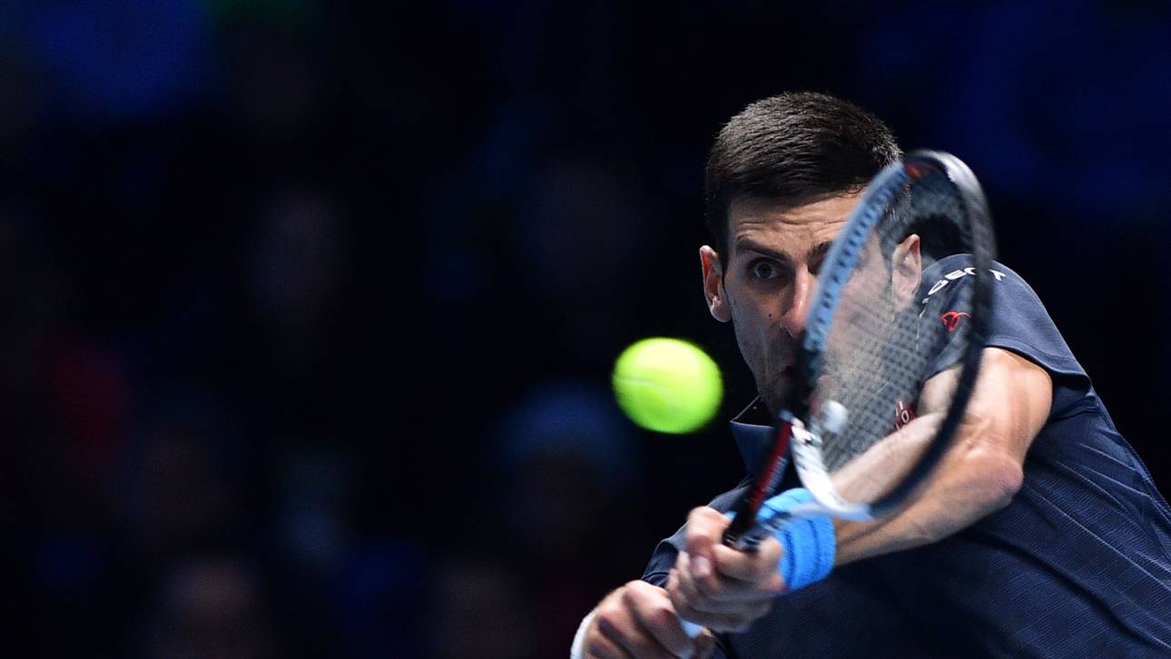 Djokovic macht Traumfinale perfekt