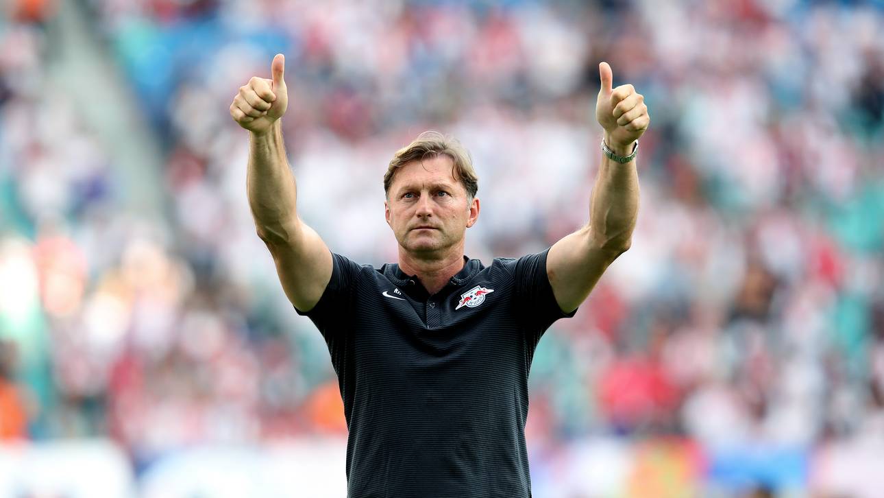 Hasenhüttl hat Lust auf ÖFB-Job