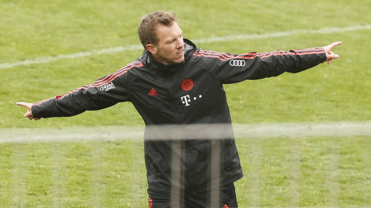 Nagelsmann als Pferdeflüsterer