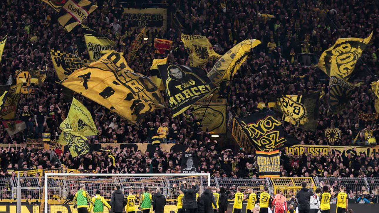 BVB geht neue Partnerschaft ein