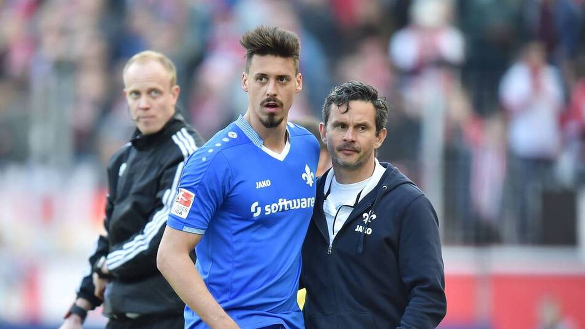 Dirk Schuster (r.) und Sandro Wagner erlebten bei Darmstadt eine erfolgreiche Zeit