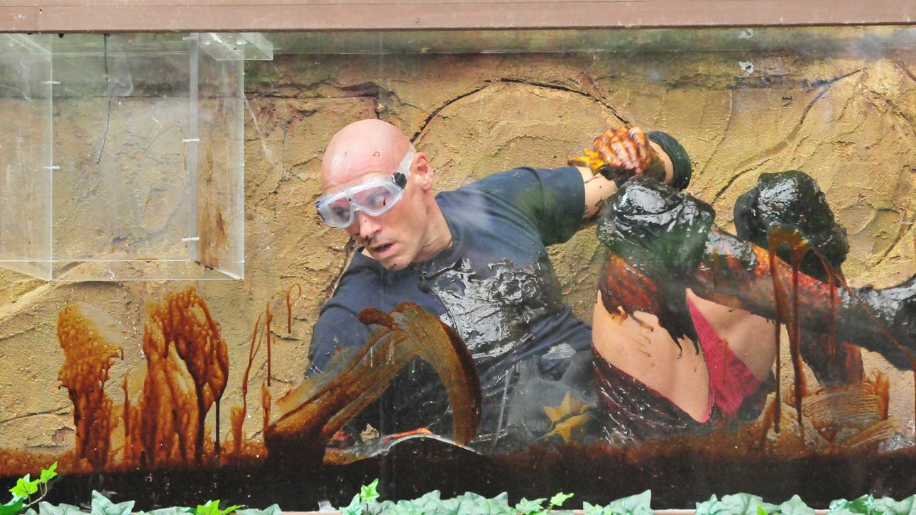 „Terminator!“ Das Legat-Protokoll