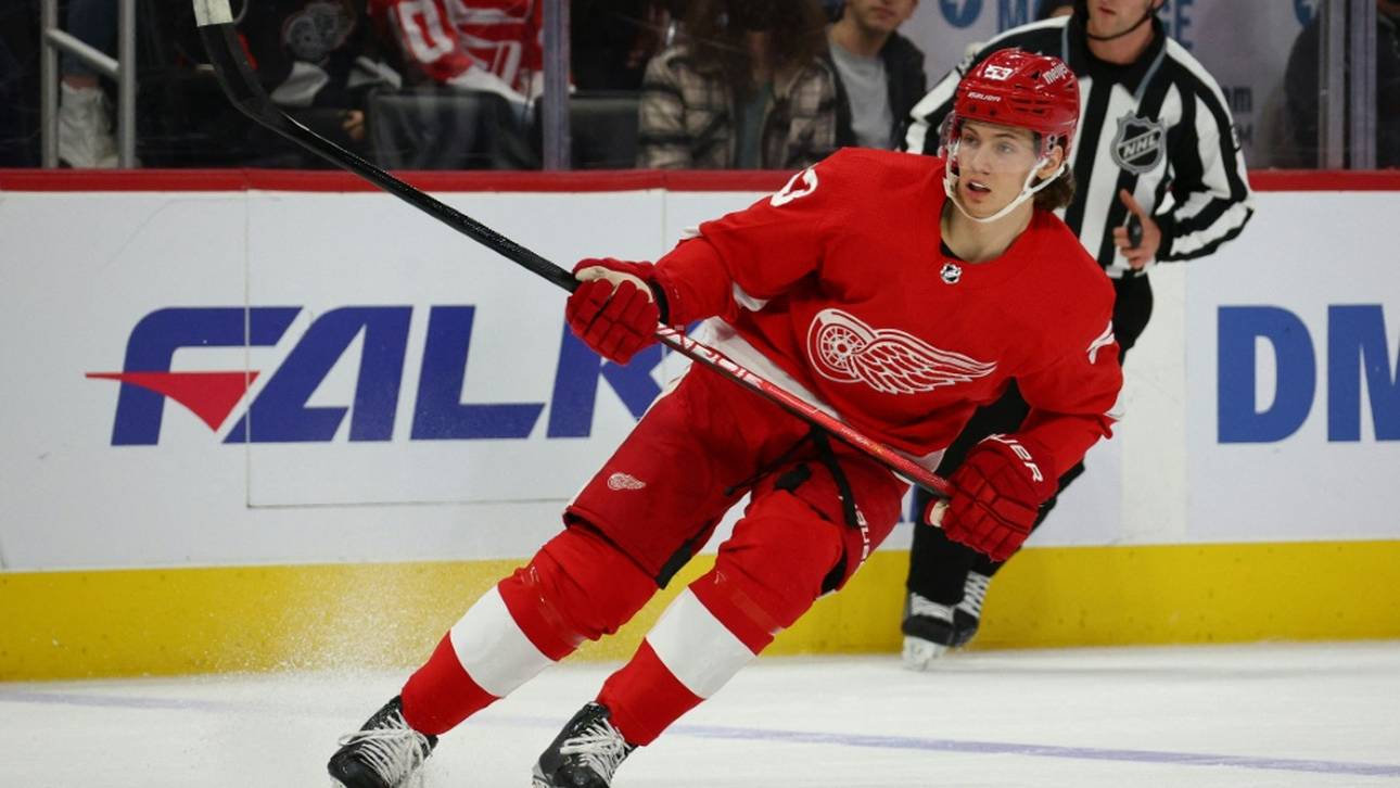 Seider und Greiss verlieren mit Detroit