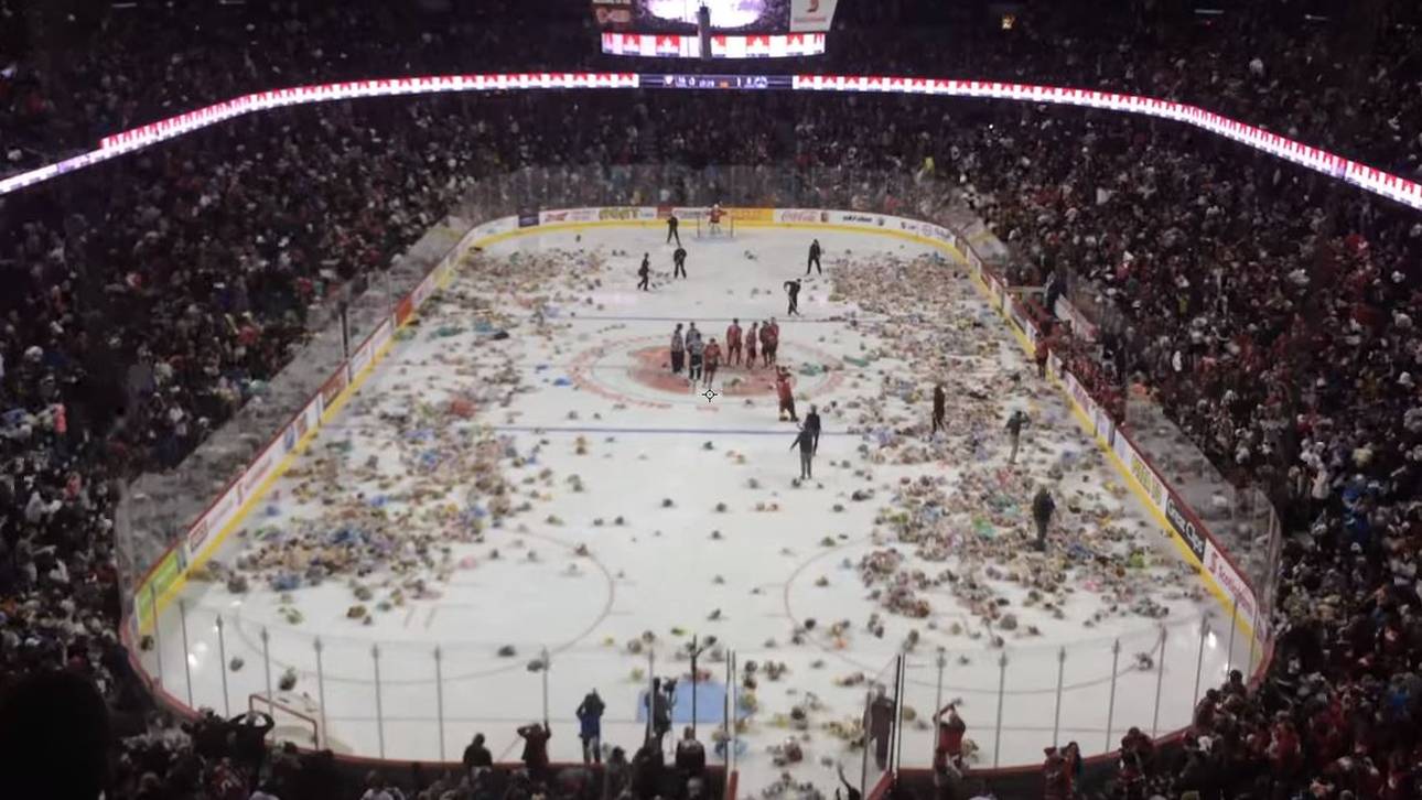 Stofftieralarm: Fans werfen Teddys