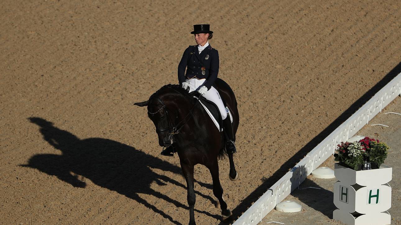 Dressurreiter greifen nach Gold