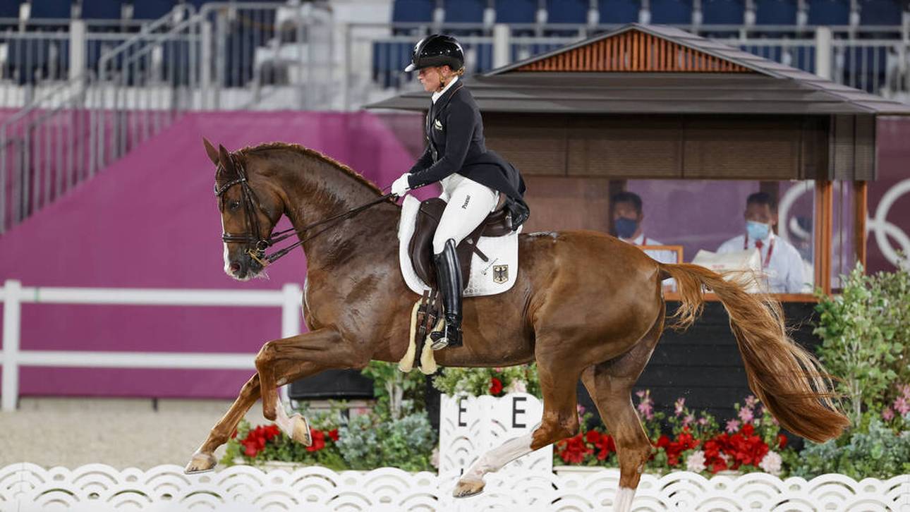 Werth-Pferd: Not-OP nach Kolik