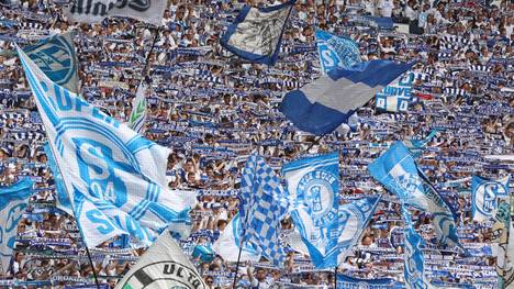 Schalke schaffte knapp den Klassenerhalt