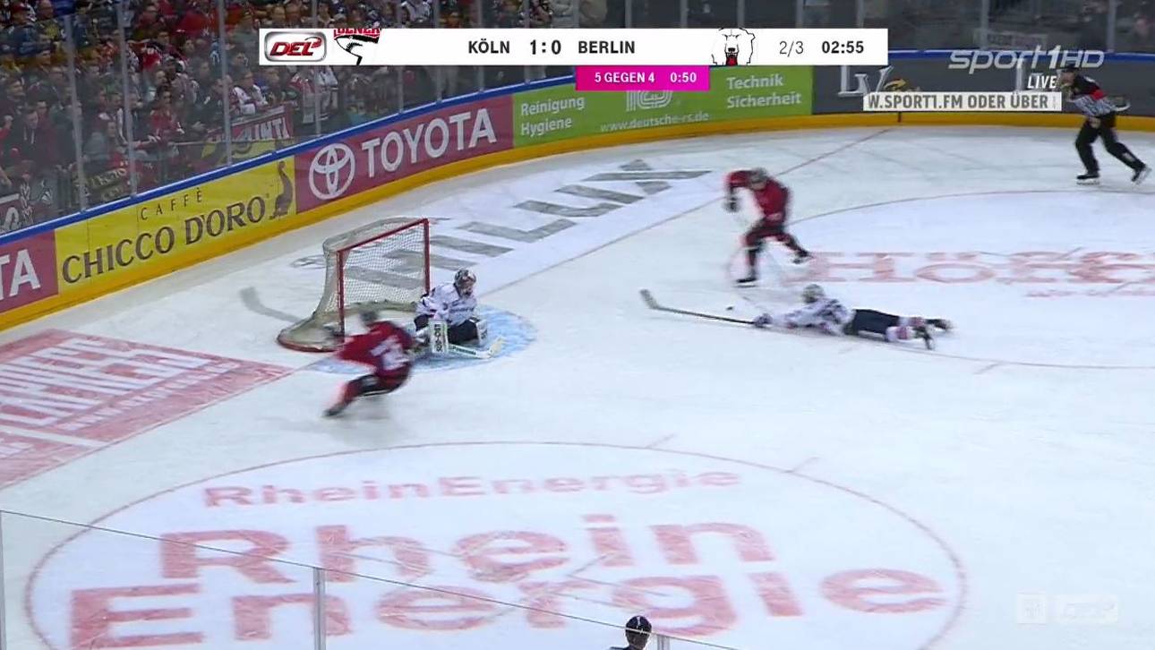 Haie verschärfen Eisbären-Krise