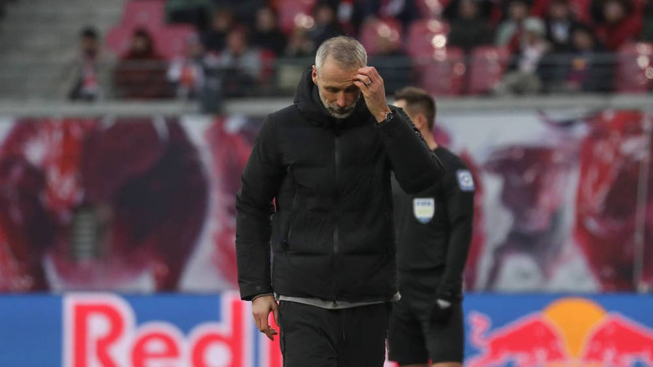 Rose-Entscheidung offenbar gefallen