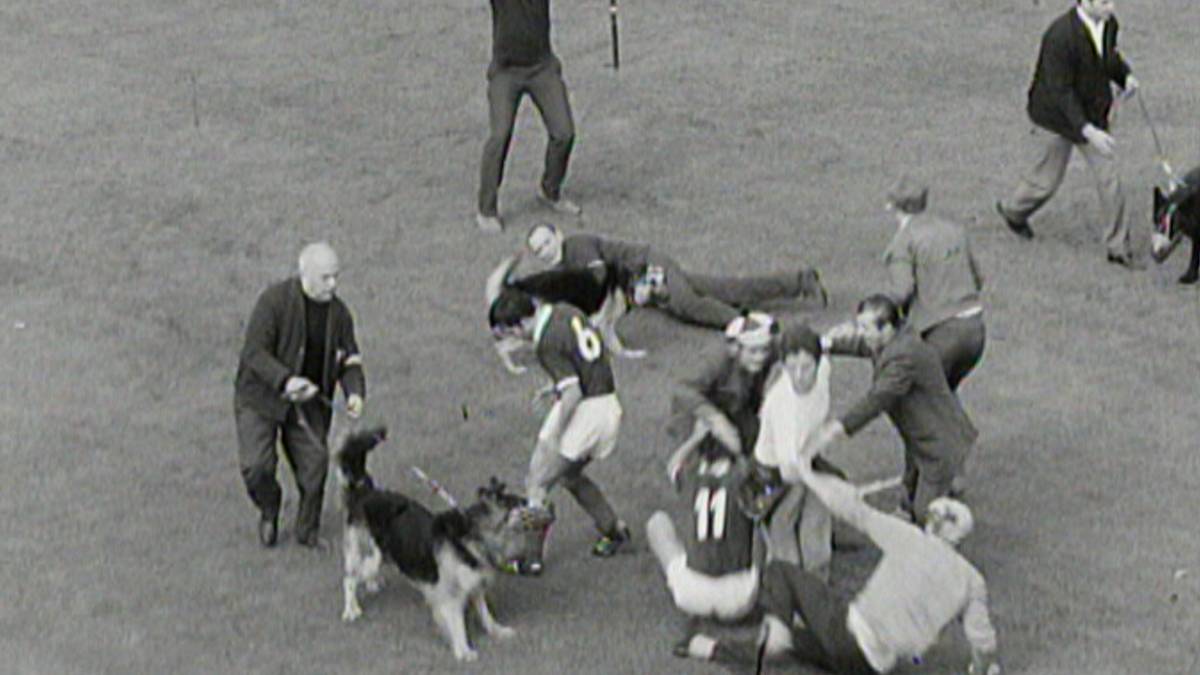 6. September 1969: Im Revierderby zwischen Borussia Dortmund und dem FC Schalke kommt es zu Tumulten. Friedel Rausch wird von einem Hund in den Allerwertesten gebissen.