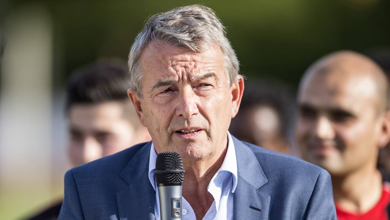 Niersbach gegen Videobeweis