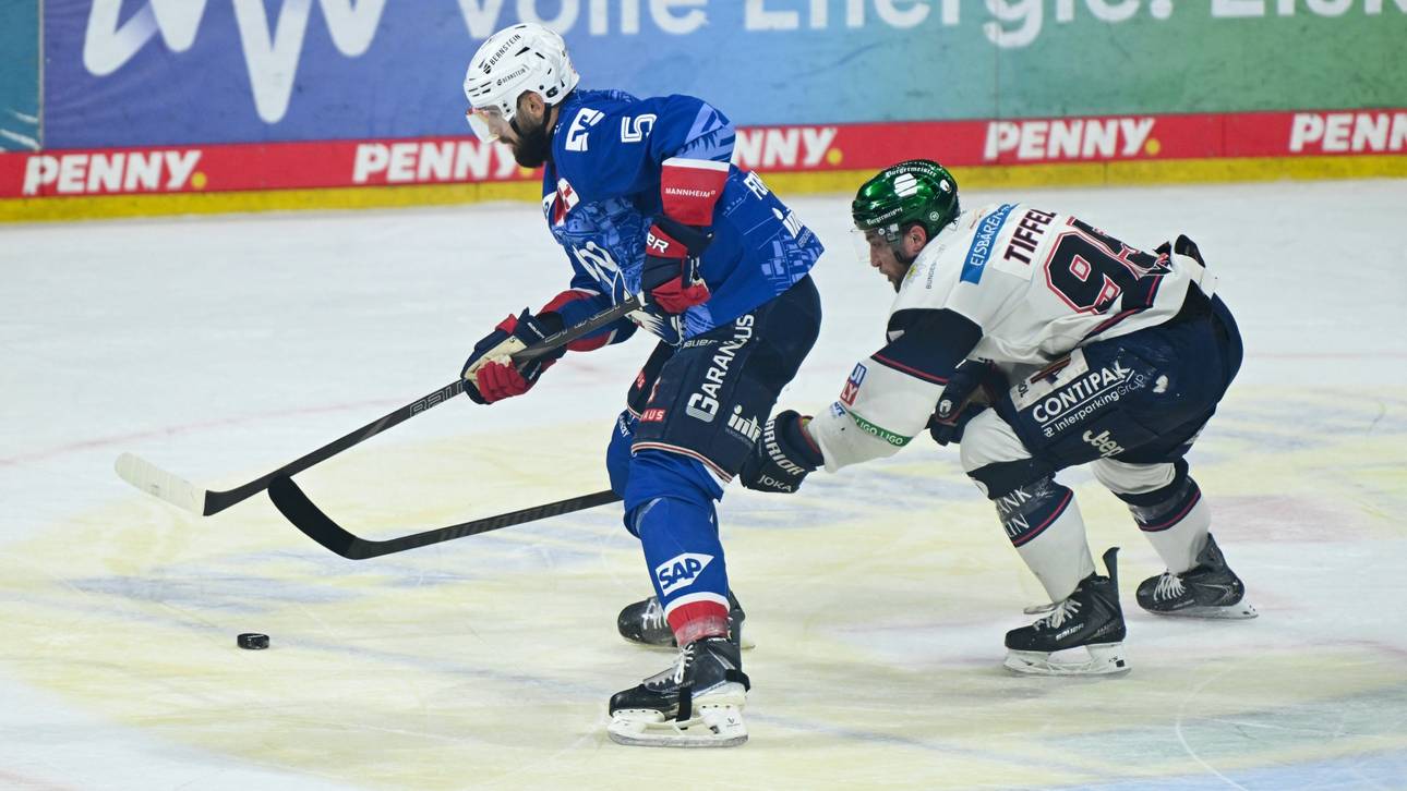 Eisbären erneut deutscher Meister
