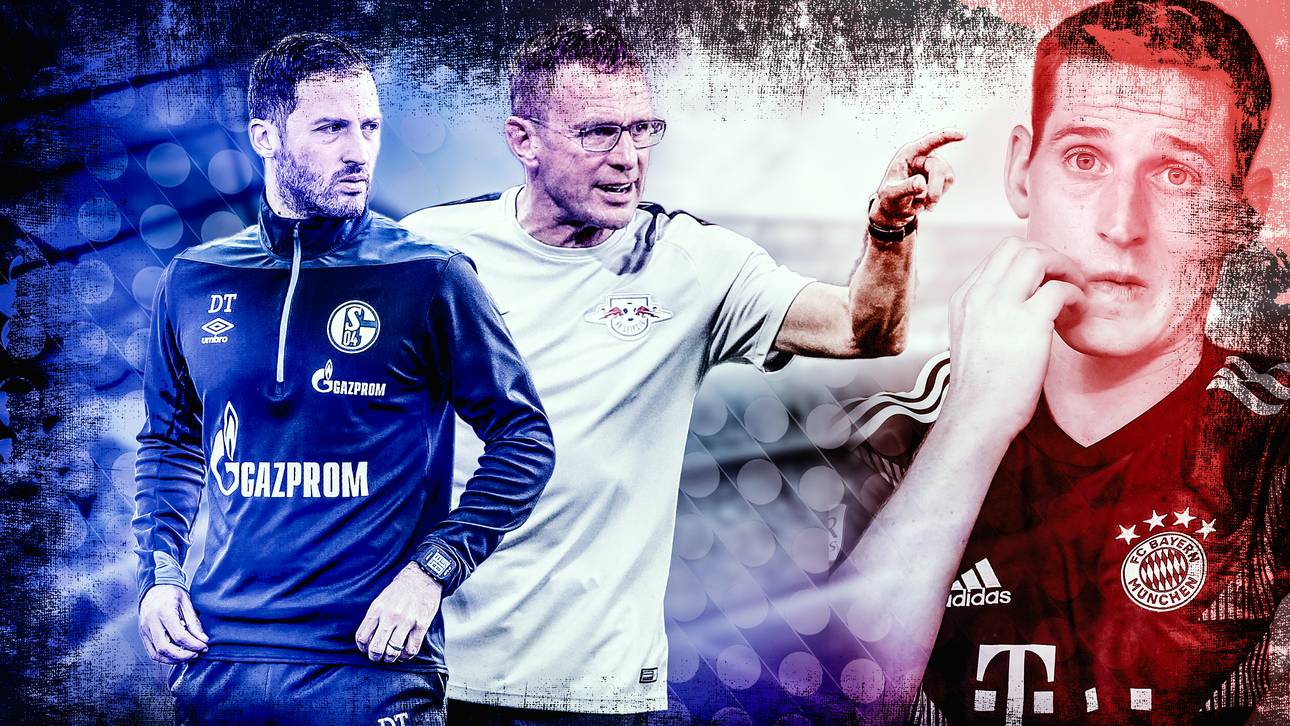 Fragen und Antworten zur Causa Rudy