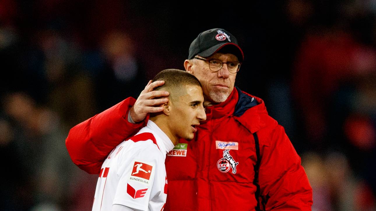 Stöger bleibt Trainer in Köln