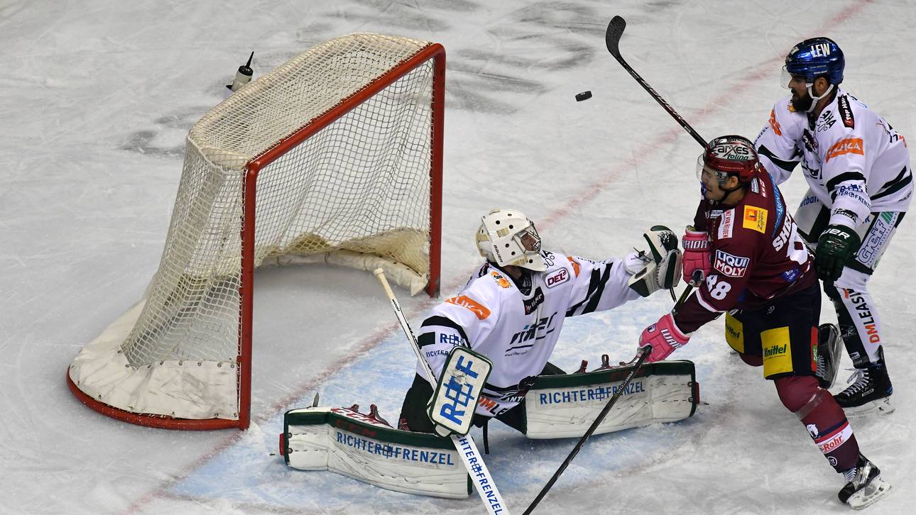 Ice Tigers wieder Spitzenreiter