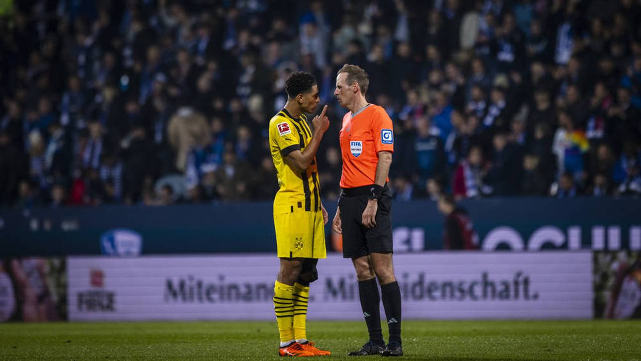 Eigene Bosse kritisieren Stegemann