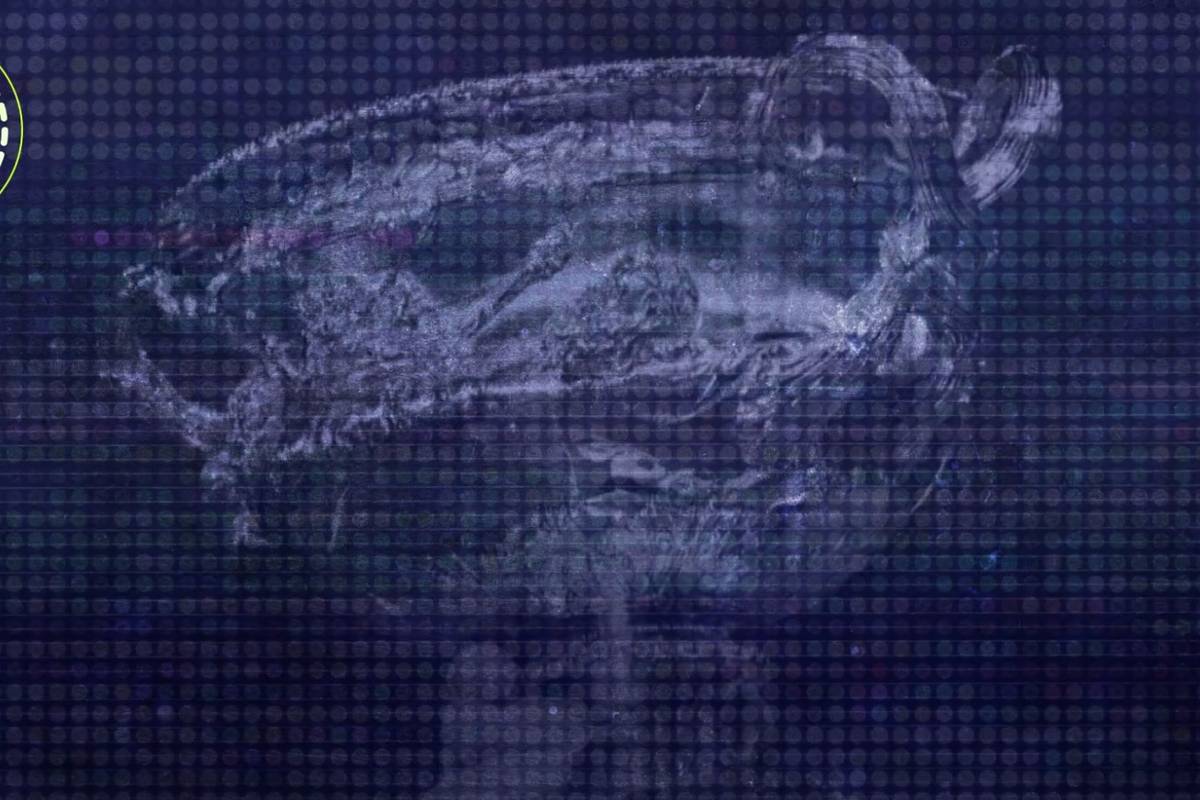 Wer zieht ins Finale der Australian Open ein?