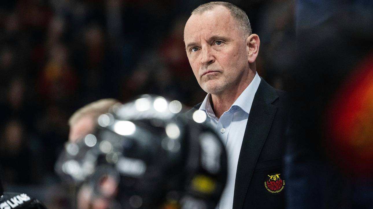 Schwedischer Meister-Coach für Haie