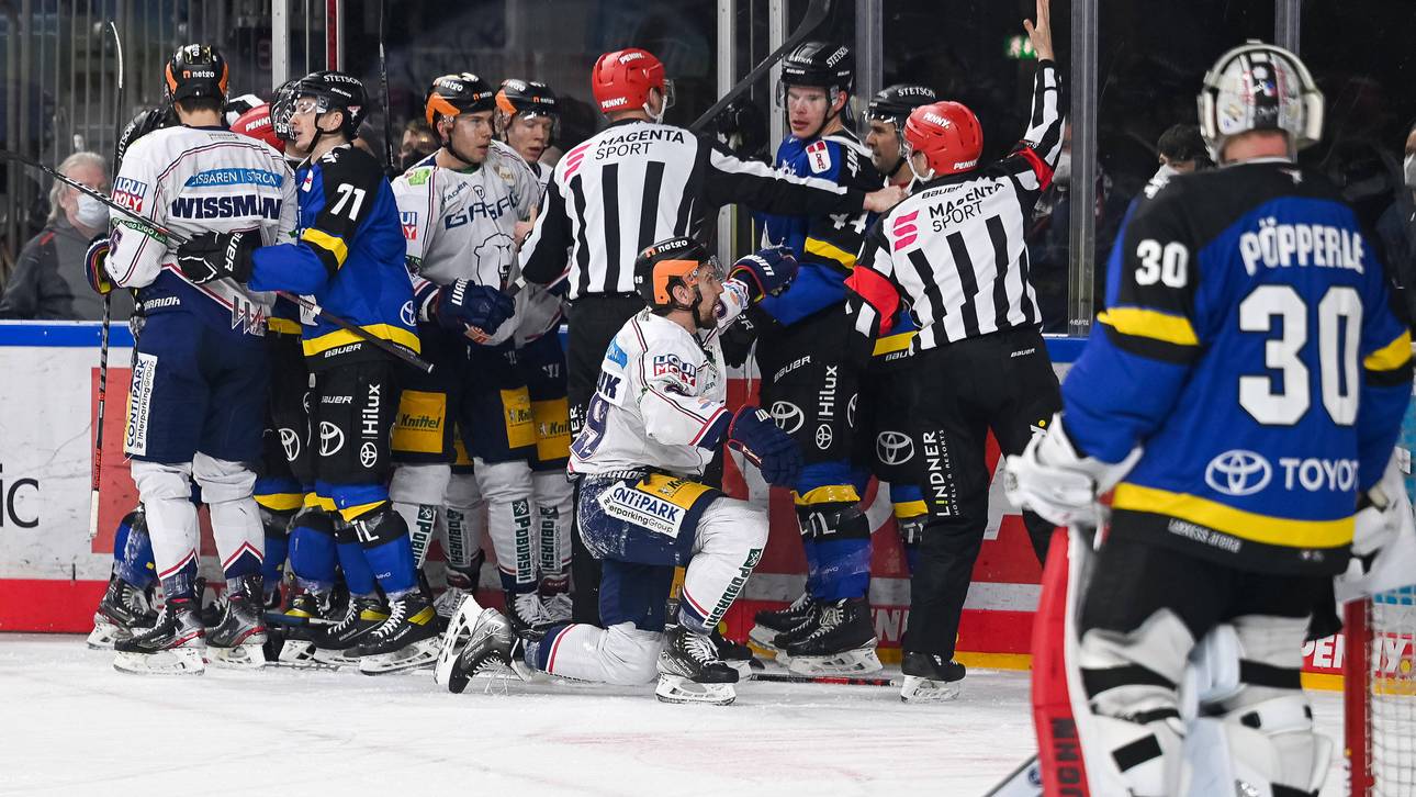 Eisbären fertigen Haie ab