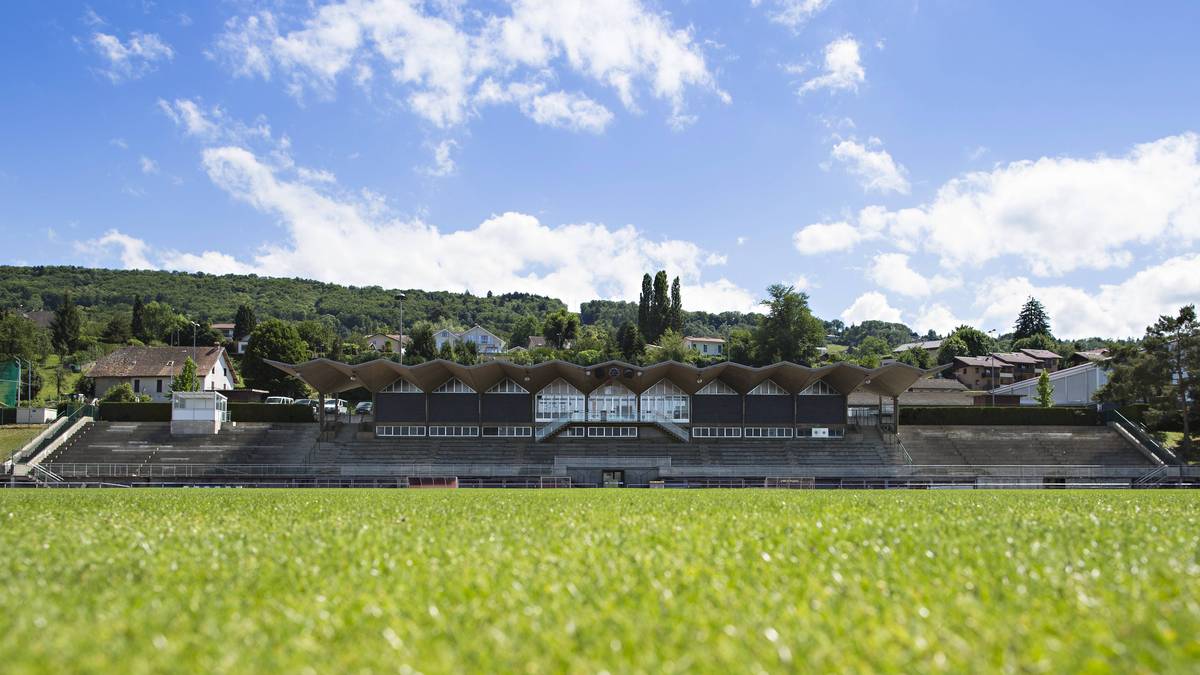 Der gepflegte Rasen dürfte Joachim Löws Anforderungen gerecht werden