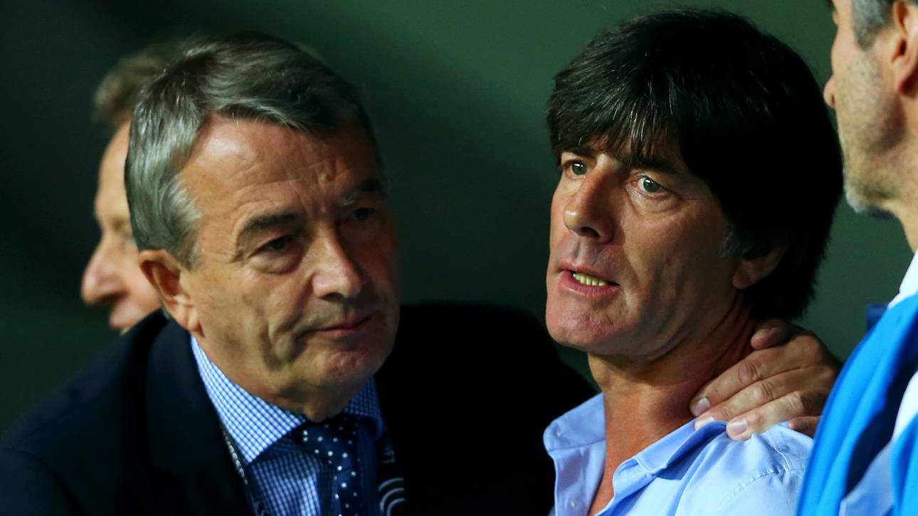 Niersbachs Rücktritt erschüttert Löw