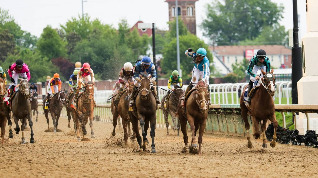 Pferdesterben hat Konsequenzen