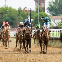 Auf der Galopprennbahn Churchill Downs werden nach dem Tod von zwölf Pferden vorerst keine Veranstaltungen mehr stattfinden.