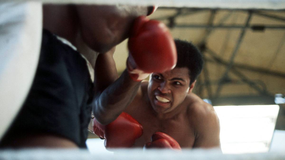 "Boxing is a lot of white men watching two black men beat each other up." ("Boxen ist, wenn viele Weiße dabei zusehen, wie sich zwei Schwarze gegenseitig verprügeln.")