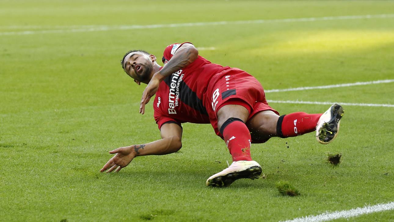 Bayer muss um Belllarabi bangen