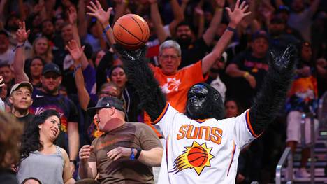 Go The Gorilla begeistert die Fans der Phoenix Suns seit über 40 Jahren