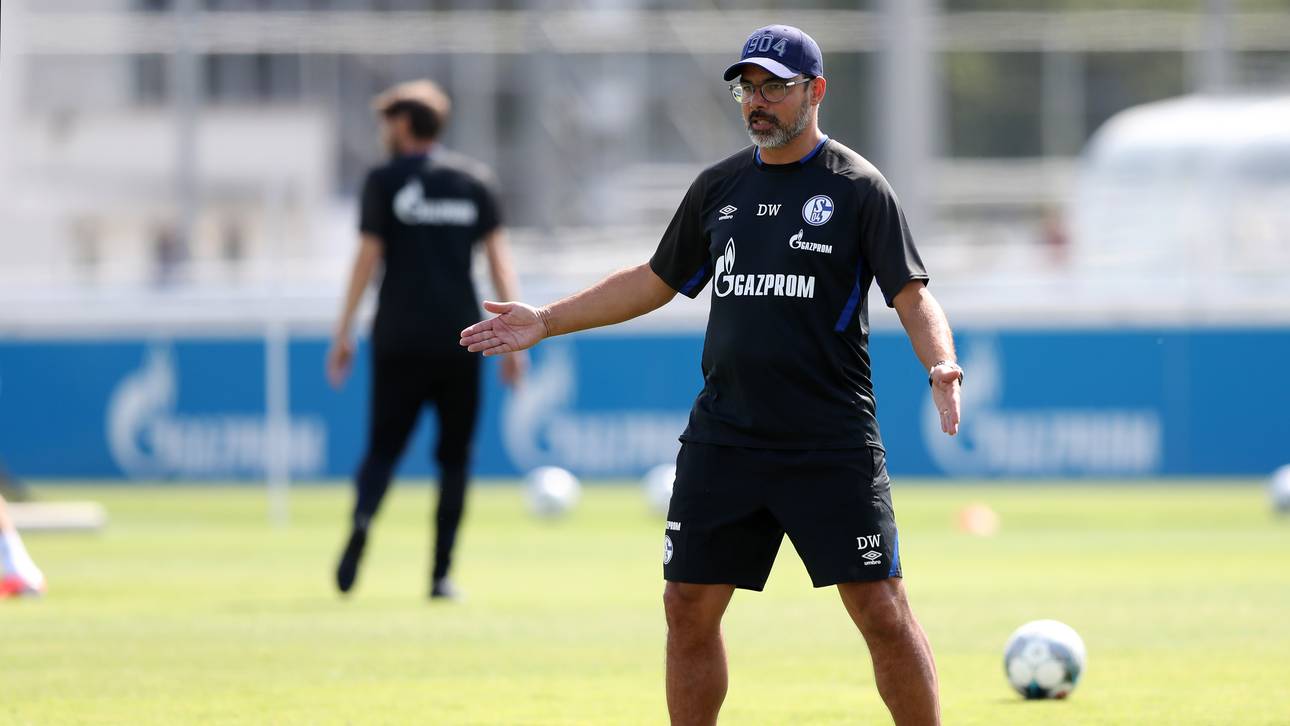 Wagner spricht über Mission S04