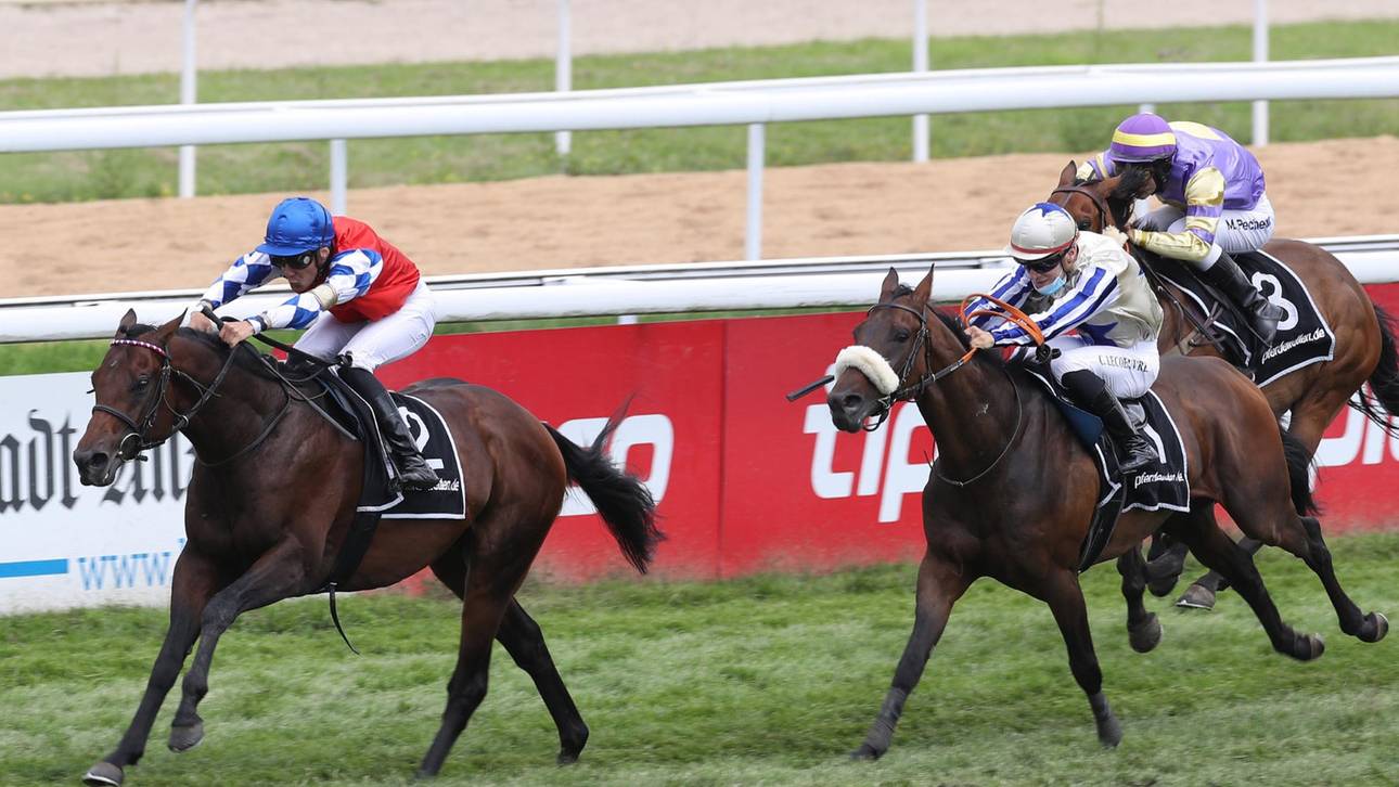 Greift Murzabayev wieder an?