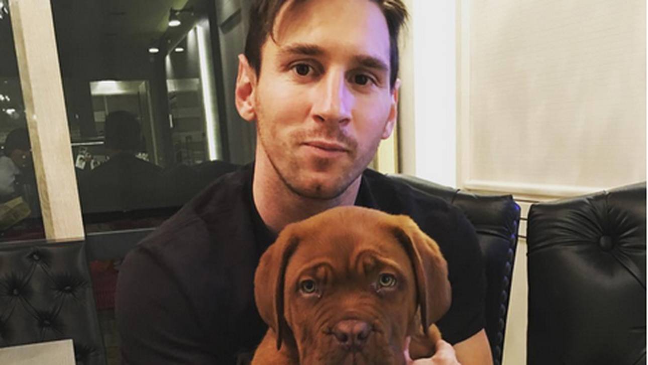 Messi ist auf den Hund gekommen