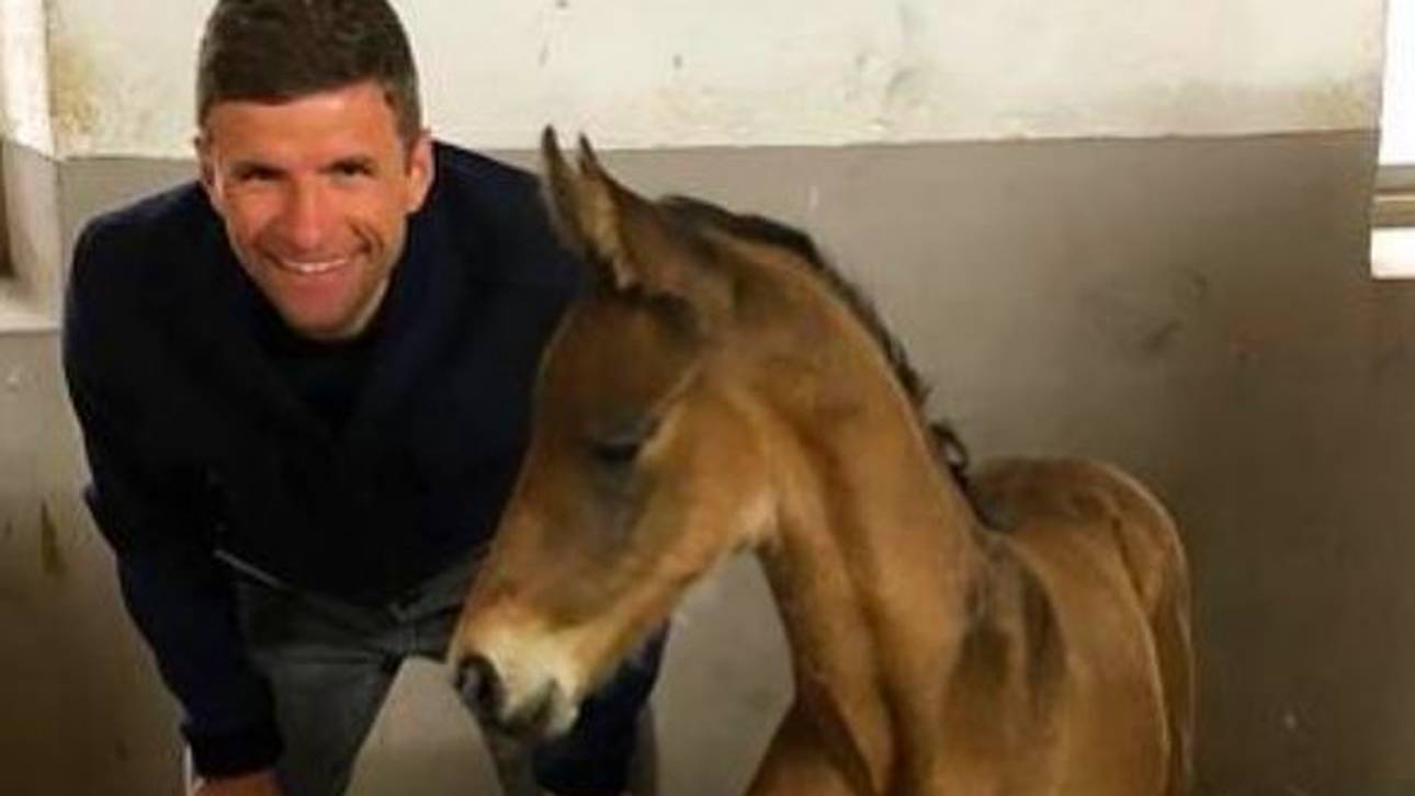 Müller benennt Pferd nach Neuer