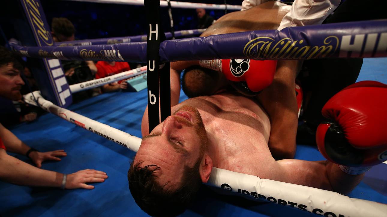 Beiß-Attacke! Boxer löst Chaos aus