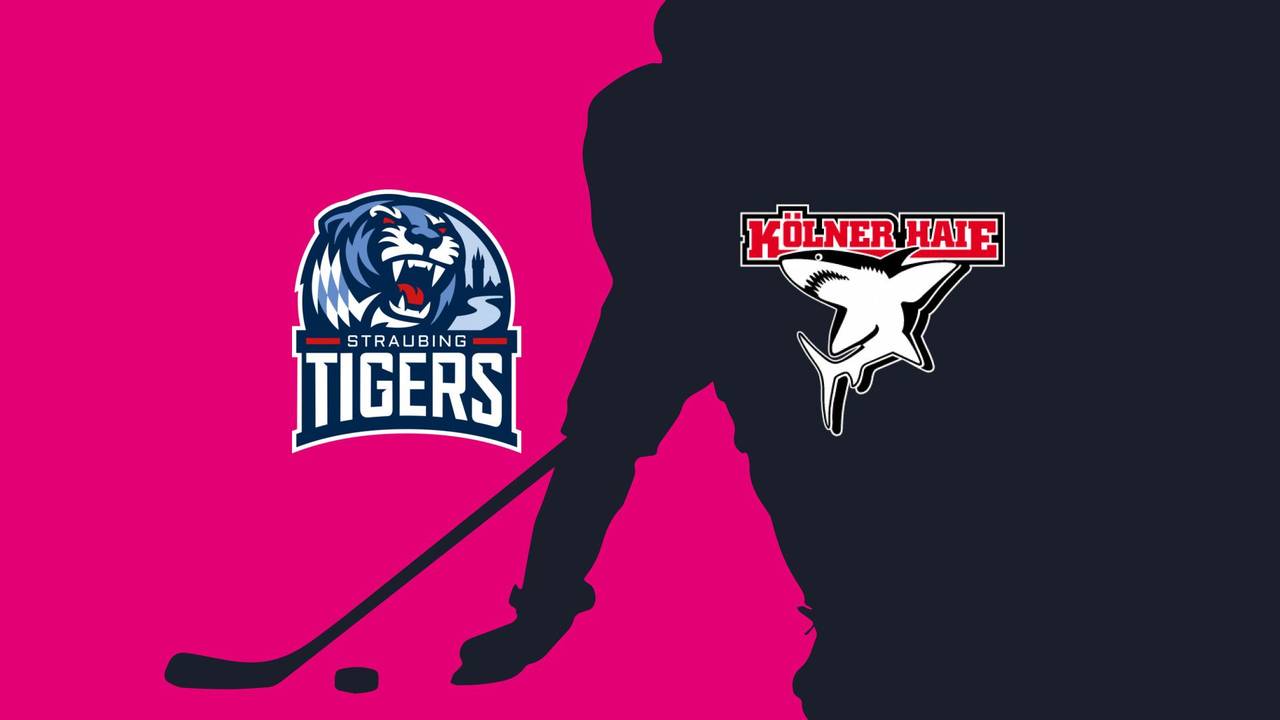 Straubing Tigers - Kölner Haie: Tore und Highlights | PENNY DEL